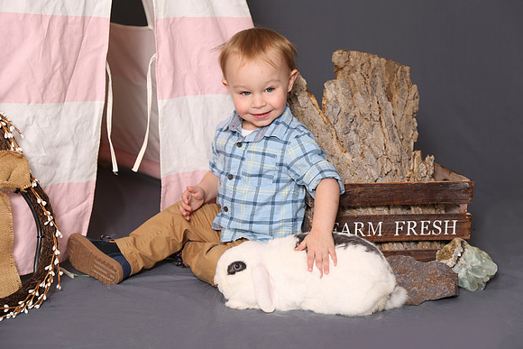8V5A6617