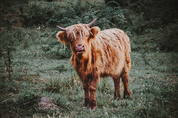 _DSC0404