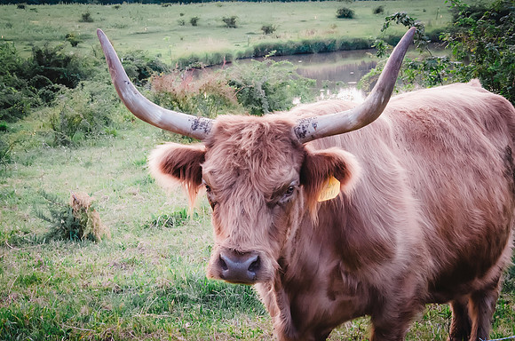 _DSC0430