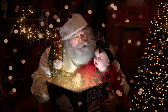 8V5A3874 copy