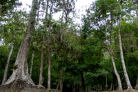 DSC01355