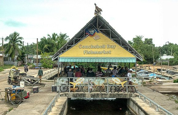 DSC01403