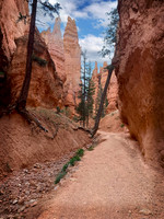 Utah Bryce Canyon